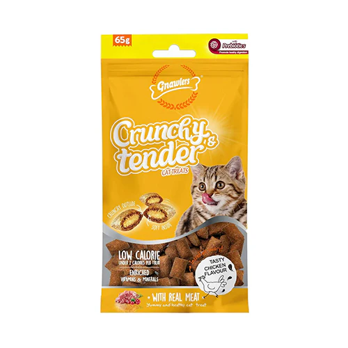 CRUNCHY & TENDER TASTY CHICKEN 65GR