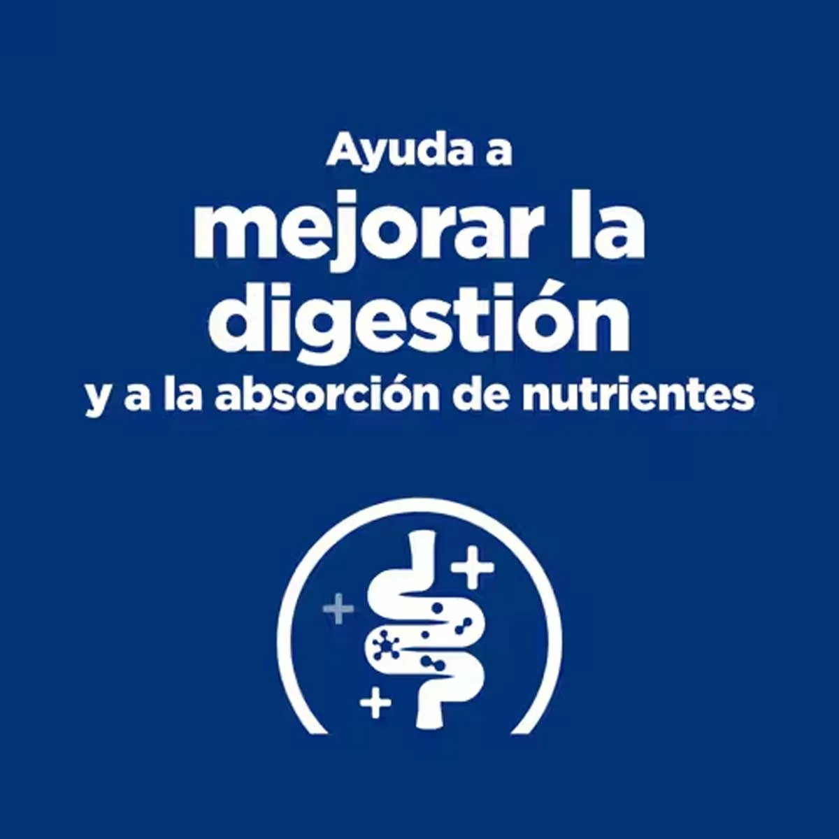 Hill’s Diet i/d Low Fat estofado comida húmeda para perros con pollo y verduras | Cuidado digestivo Latas 354g x 12 - Imagen 5