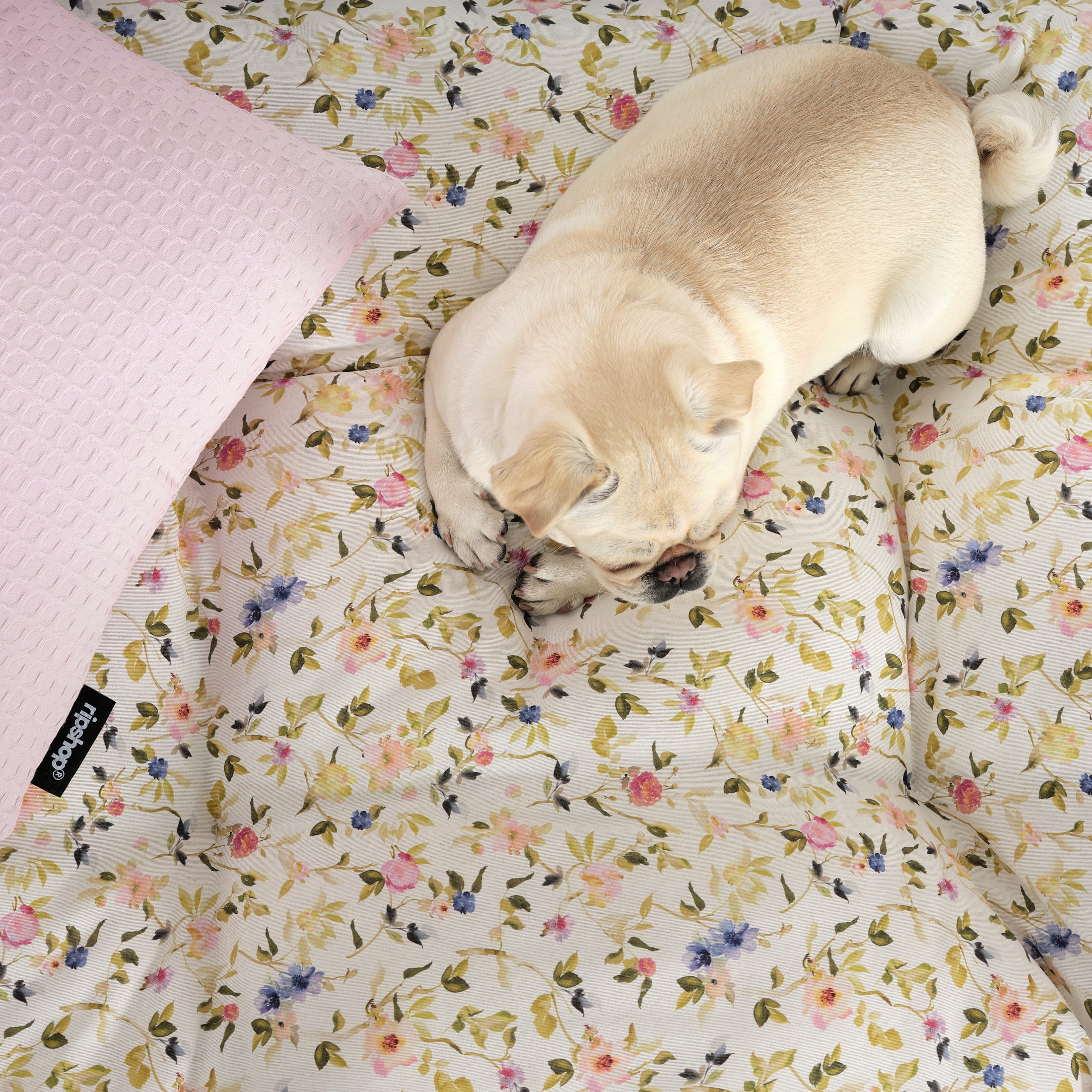 Cama de mascota 100% algodón antimanchas Leeds Verde - Imagen 5