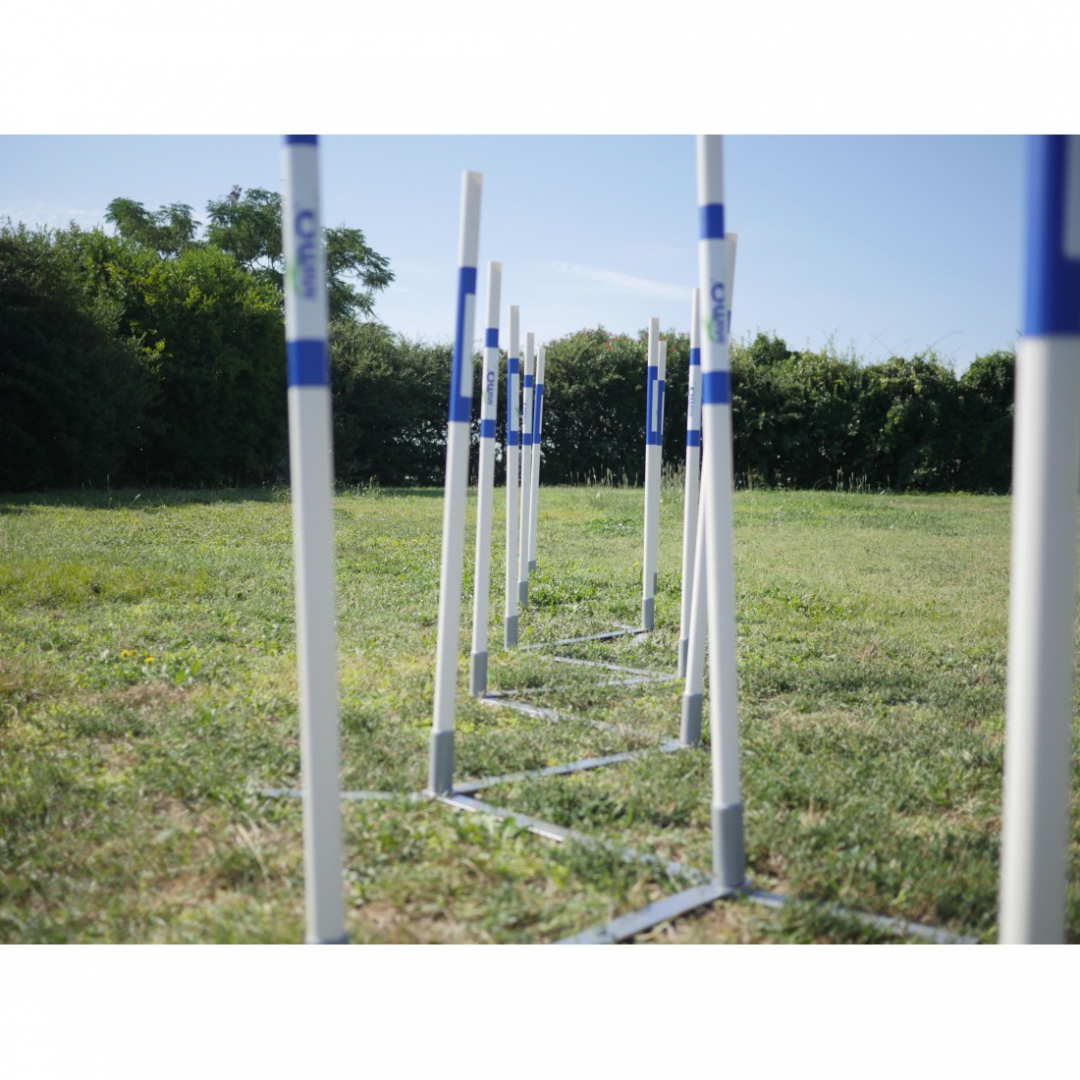 Slalom de entrenamiento - Imagen 4