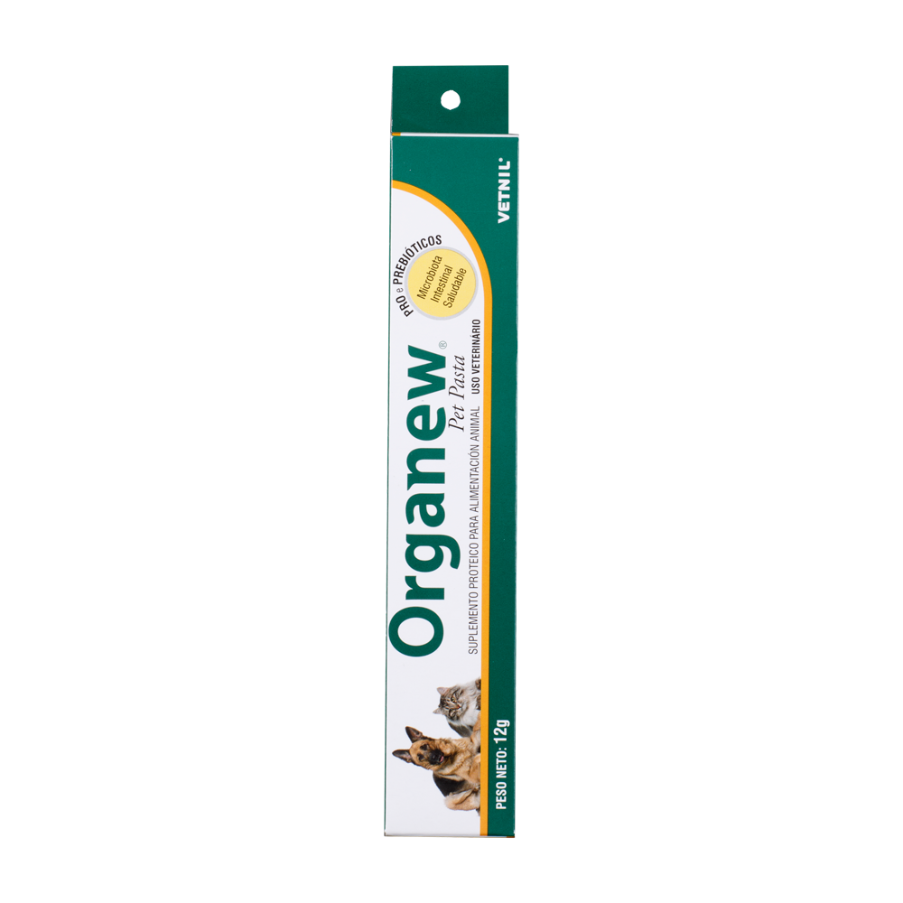 ORGANEW PASTA 12GMS